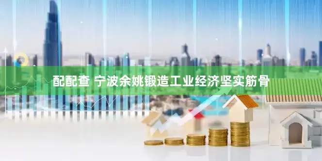配配查 宁波余姚锻造工业经济坚实筋骨
