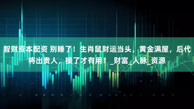 智财资本配资 别睡了!生肖鼠财运当头,黄金满屋,后代将出贵人,接了才有用!_财富_人脉_资源